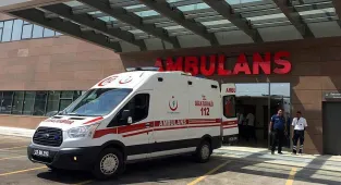 Elazığ'da şarampole devrilen otomobildeki 3 kişi yaralandı