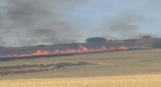 GÜNCELLEME - Diyarbakır'da çıkan anız ve örtü yangını söndürüldü
