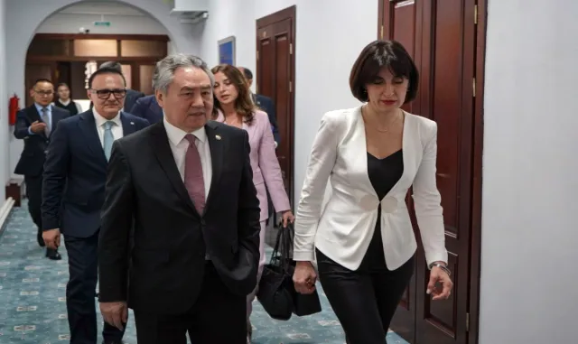 Kırgızistan ve Gürcistan dışişleri bakanları, Bişkek'te bir araya geldi