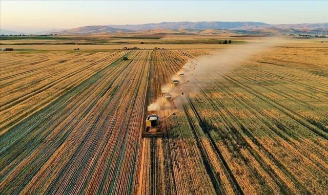 Samsun'da 14 bin 358 üreticiye tarımsal destek sağlandı