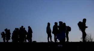 Şırnak'ta 7 düzensiz göçmen yakalandı