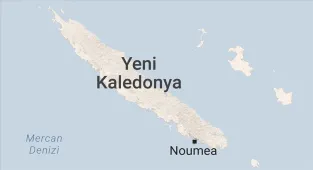 Yeni Kaledonya'da bölgesel seçimleri bağımsızlık karşıtları önde bitirdi