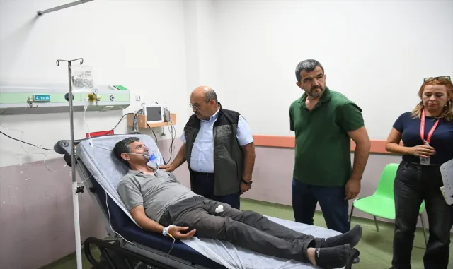 Balıkesir Gömeç-Ayvalık'taki orman yangınına müdahale sürüyor (GÜNCELLEME)