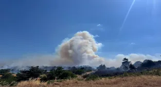 Balıkesir'in Altıeylül ilçesinde çıkan orman yangınına müdahale ediliyor (GÜNCELLEME)