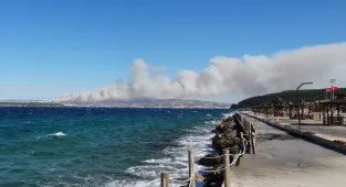 Çanakkale'de ormanlık alanda çıkan yangına müdahale ediliyor