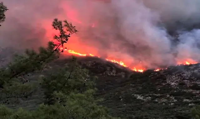 GÜNCELLEME 2 - Kaş'taki orman yangınına ekiplerin karadan müdahalesi akşam saatlerinde de sürüyor
