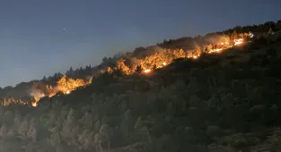 İzmir'de ormanlık alanda çıkan yangın kontrol altında (GÜNCELLEME)