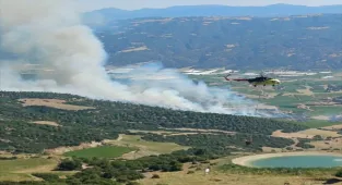 Manisa'da çıkan orman yangını kontrol altına alındı