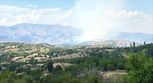 Pütürge'de çıkan orman yangınına müdahale ediliyor (GÜNCELLEME)