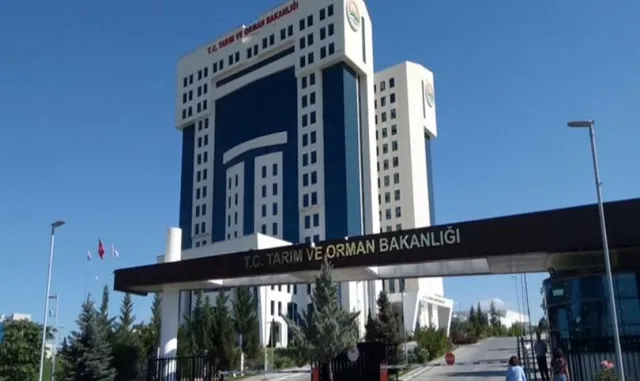 Tarım ve Orman Bakanlığından orman yangınlarına ilişkin açıklama