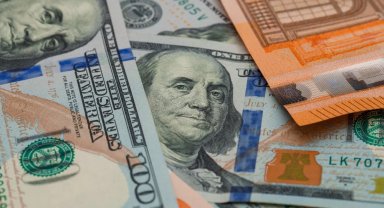 Amerikan Doları Kaç TL? USD/TL Öğle Kuru (29 Ağustos 2026)