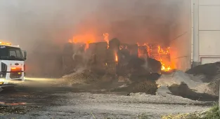 Aydın'da fabrikada çıkan yangın söndürüldü