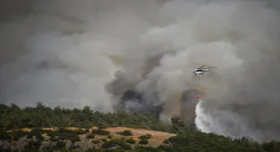 Balıkesir'in Sındırgı ilçesinde ormanlık alandaki yangın kontrol altına alındı