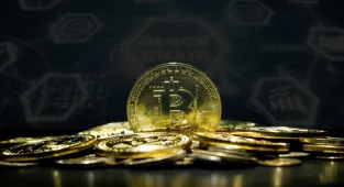 Kripto para piyasasının değeri temmuzda 120 milyar doların üzerinde arttı
