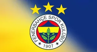 Olimpik Lyon-Fenerbahçe maçının ardından