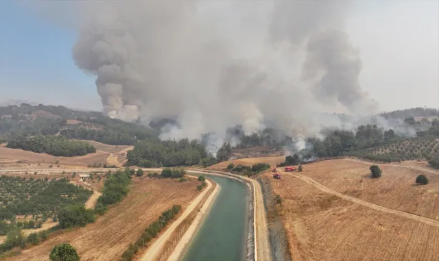 Adana'daki orman yangını kontrol altına alınmaya çalışılıyor (GÜNCELLEME)